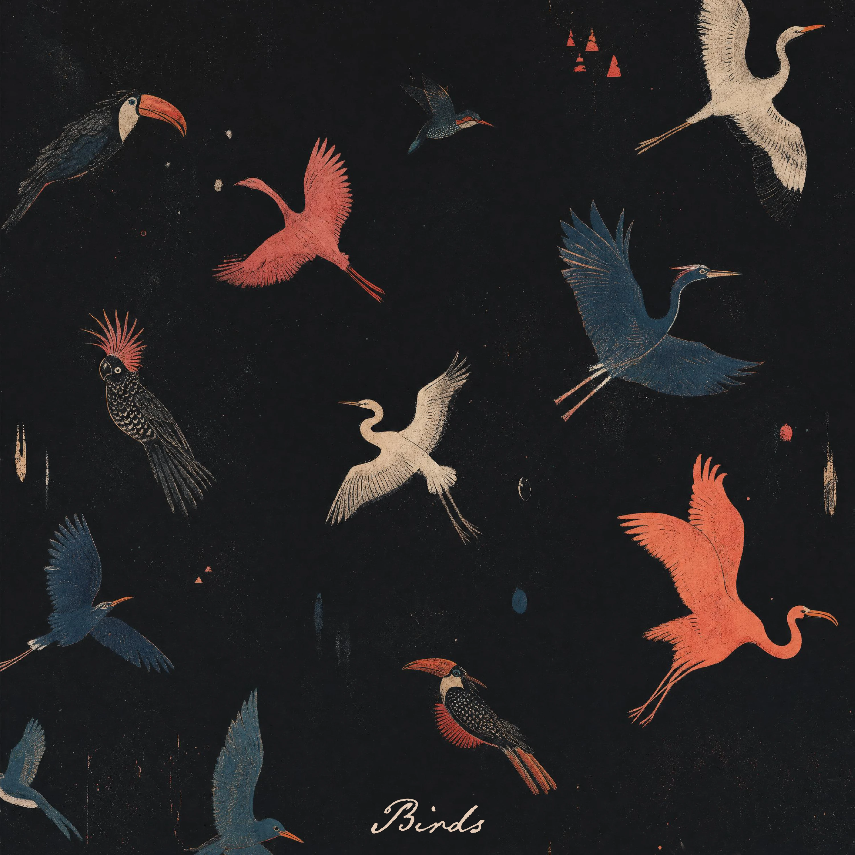 BIRDS album art